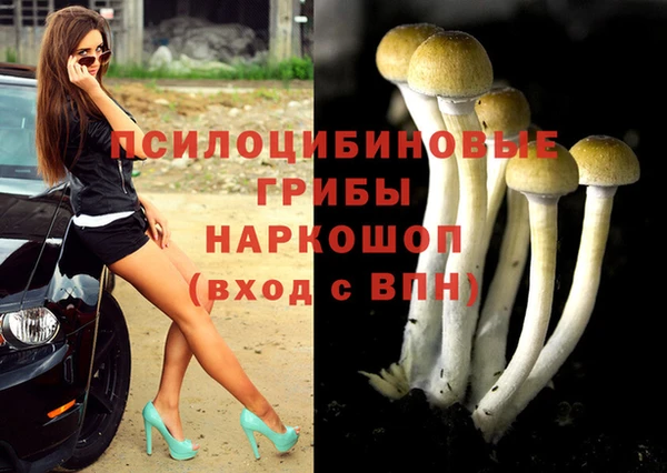 соль курить ск Богданович