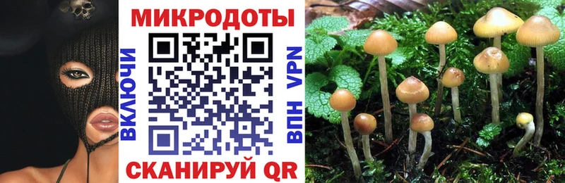 mega даркнет сайт Волчанск Галлюциногенные грибы Psilocybe